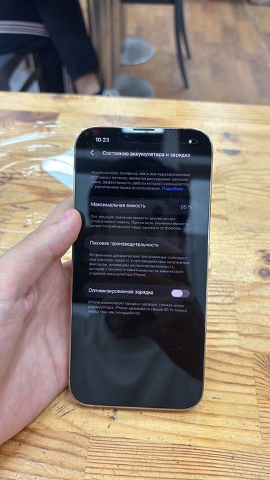 iPhone 13 Pro Max