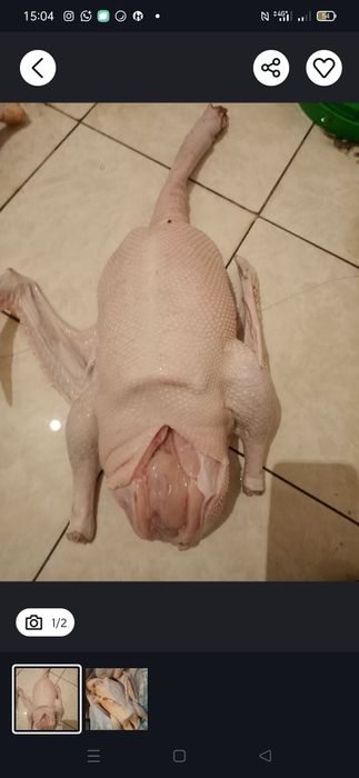 домашние гуси 3500 за кг