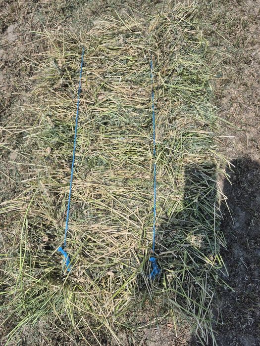 Vand baloti de Lucerna fan productie 2025 Transport la domicilu