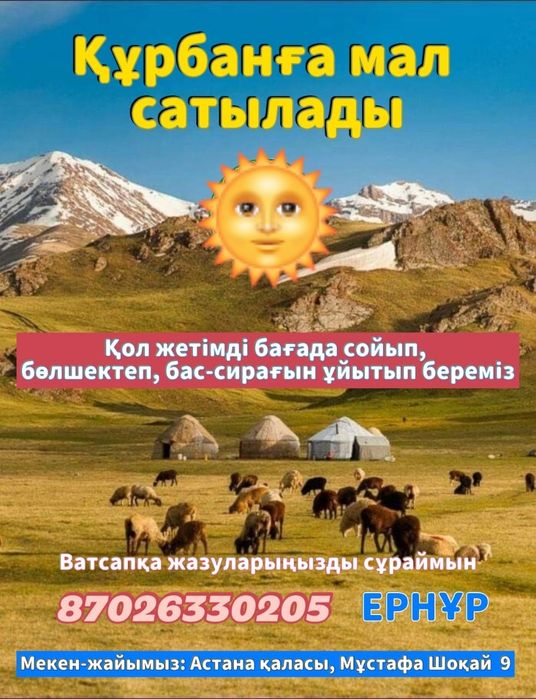 Құрбан айтқа қойлар сатылады