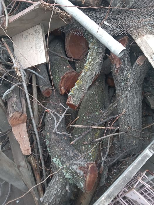 Отдам срочно дрова бесплатно.