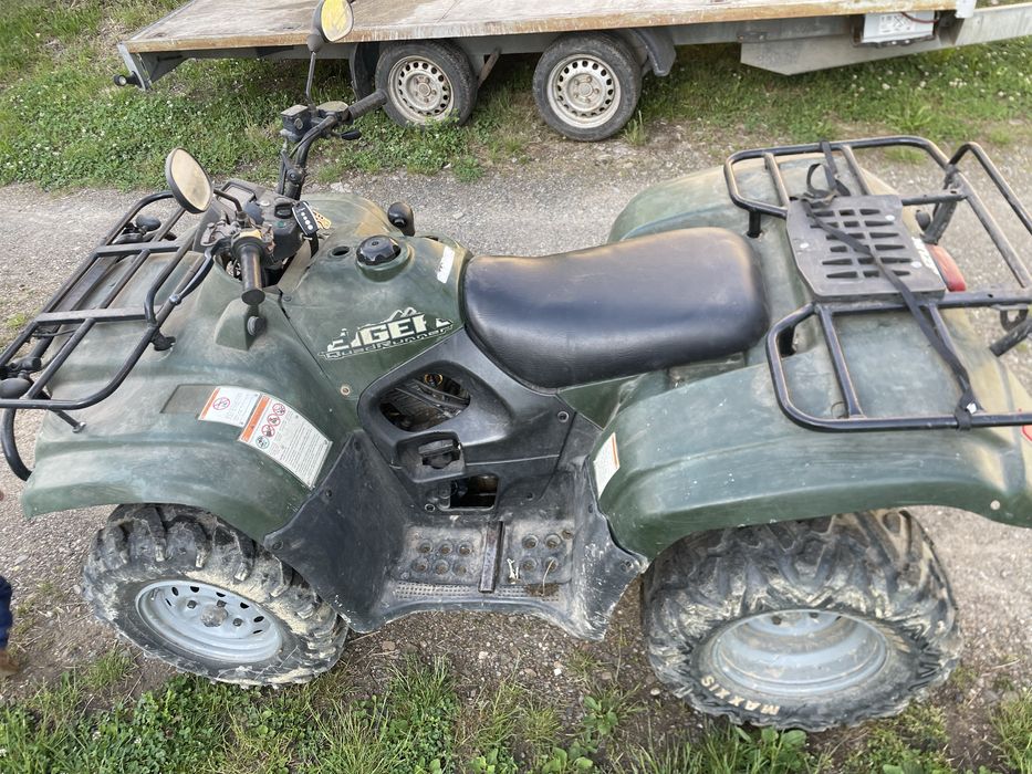 Suzuki eiger 400