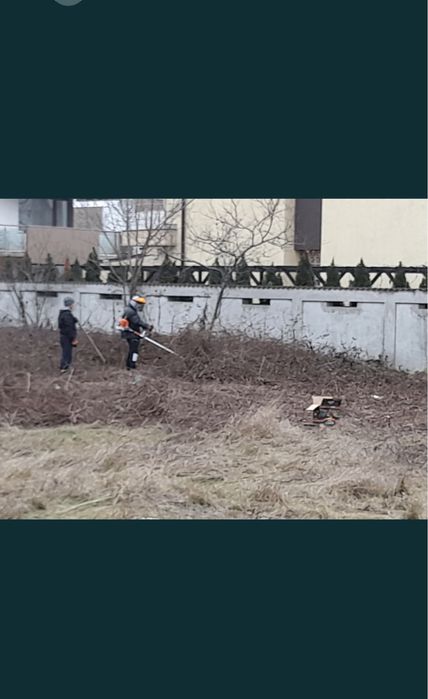 Taiere toaletare copaci defrisari terenuri curatanie terenuri curti