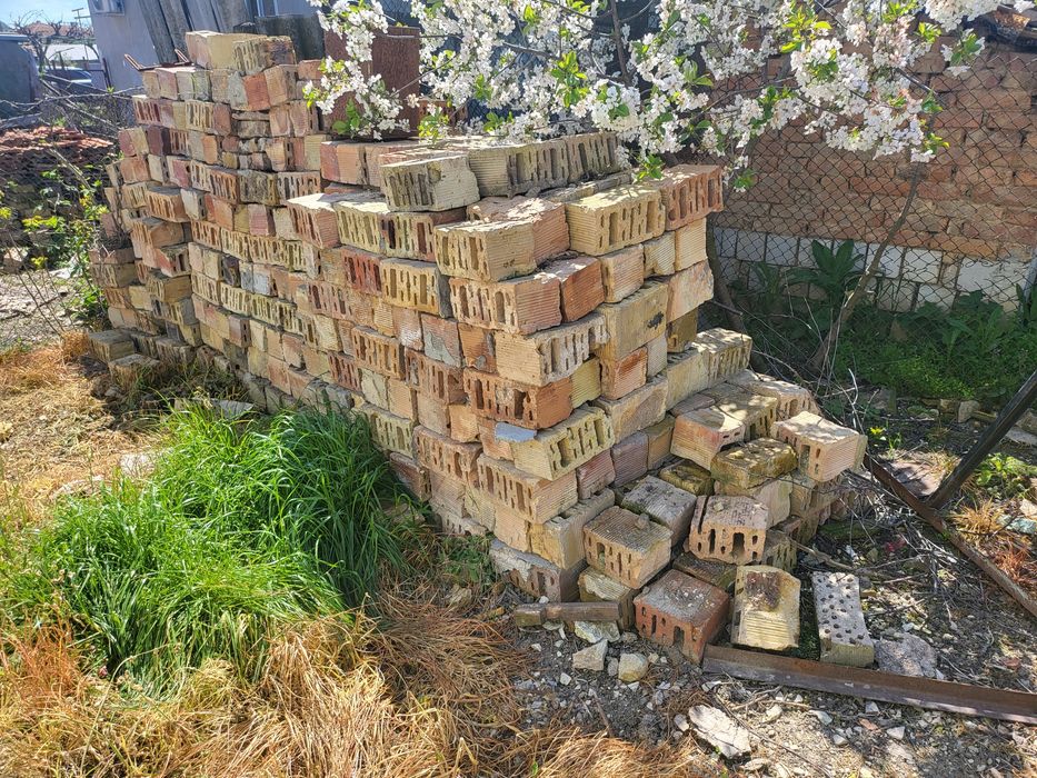 Тухли двойка най здравите