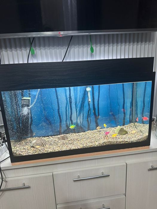 Продам аквариум с рыбками