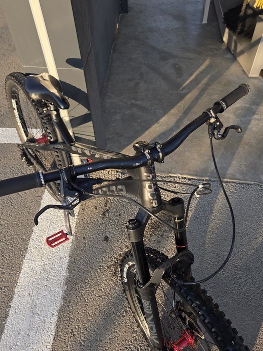 Dartmoor primal 2021