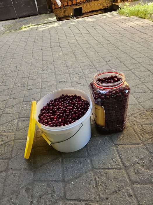 Вишьня вкусные,сочные,из Ахмера