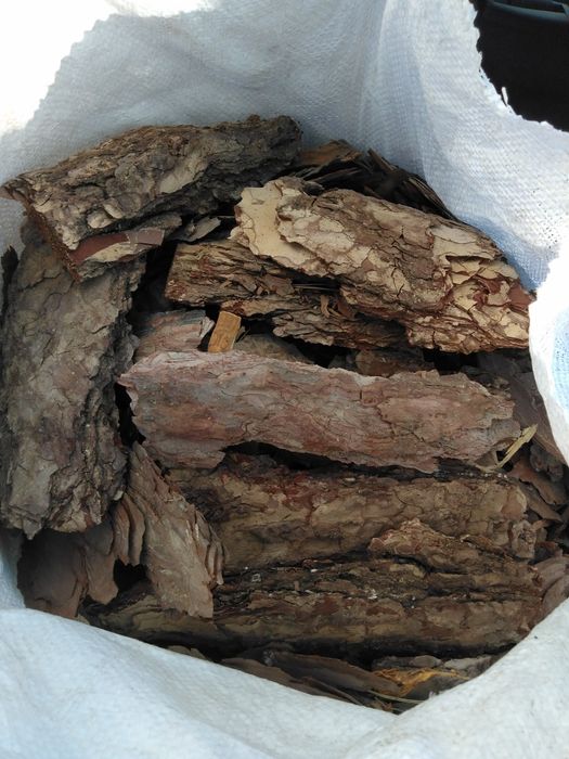 Боров мулч - дребен и едър, за декорация , Трици и талаж.