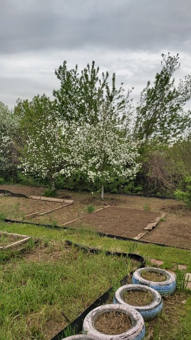 Продам дачу садоводство Металлург