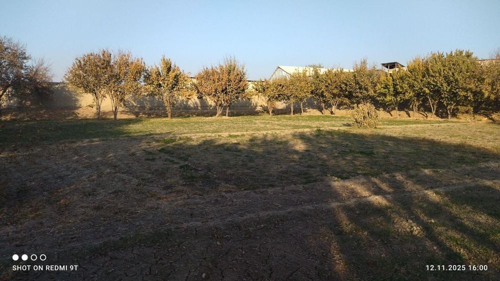 Jondorda yer sotiladi