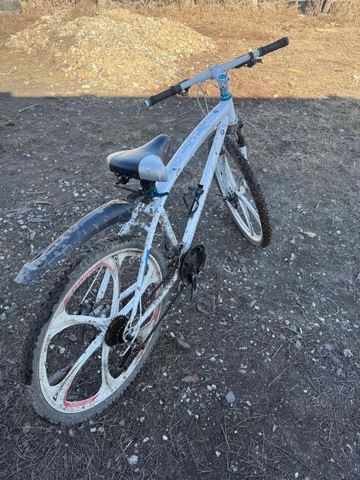 Велик беха  белый