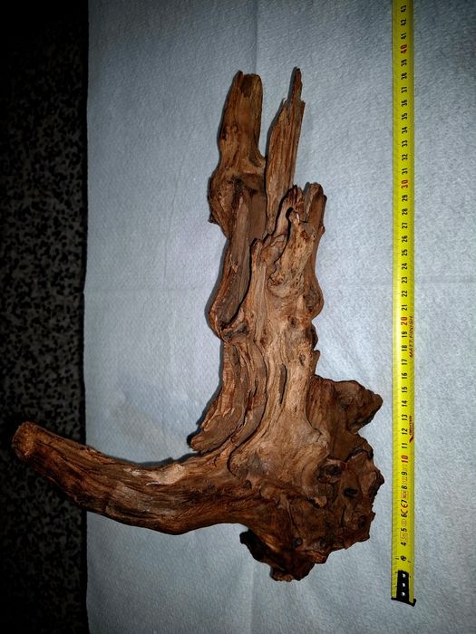 Vand buturuga pentru acvariu