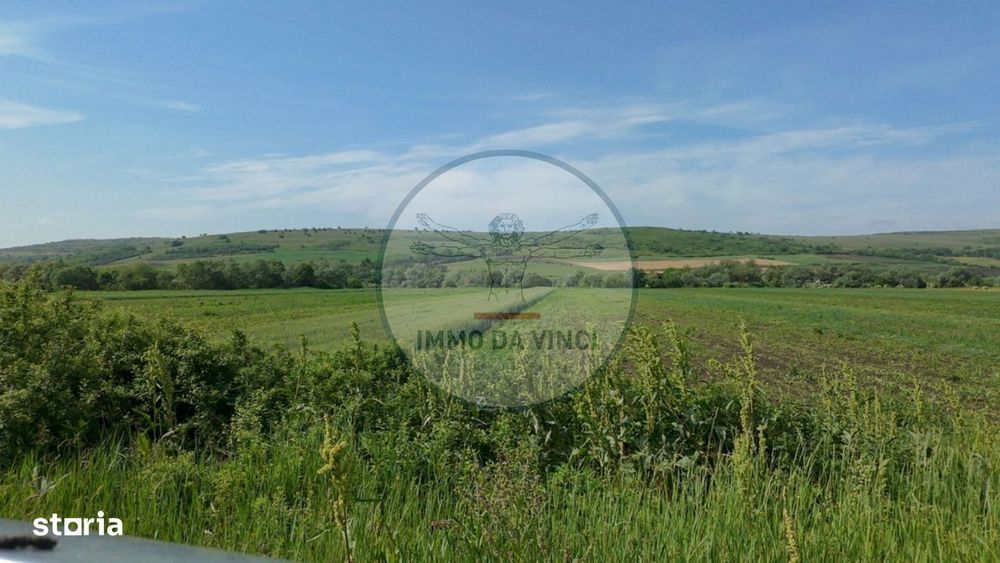 Teren 10.670 mp | Borșa Cluj | Front 38m | Utilități