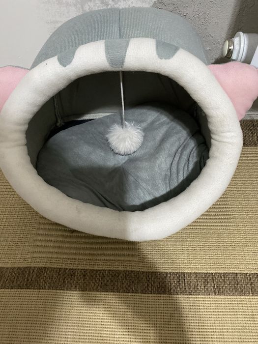 Отдам кошку в хорошие руки !