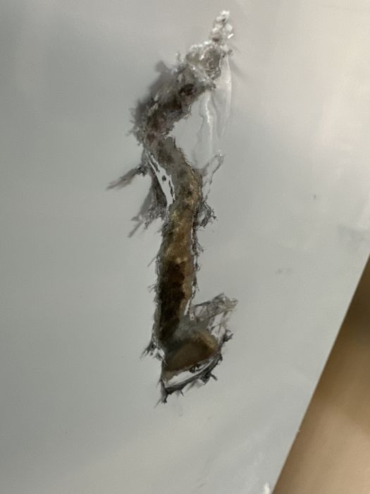 Холодильный шкаф