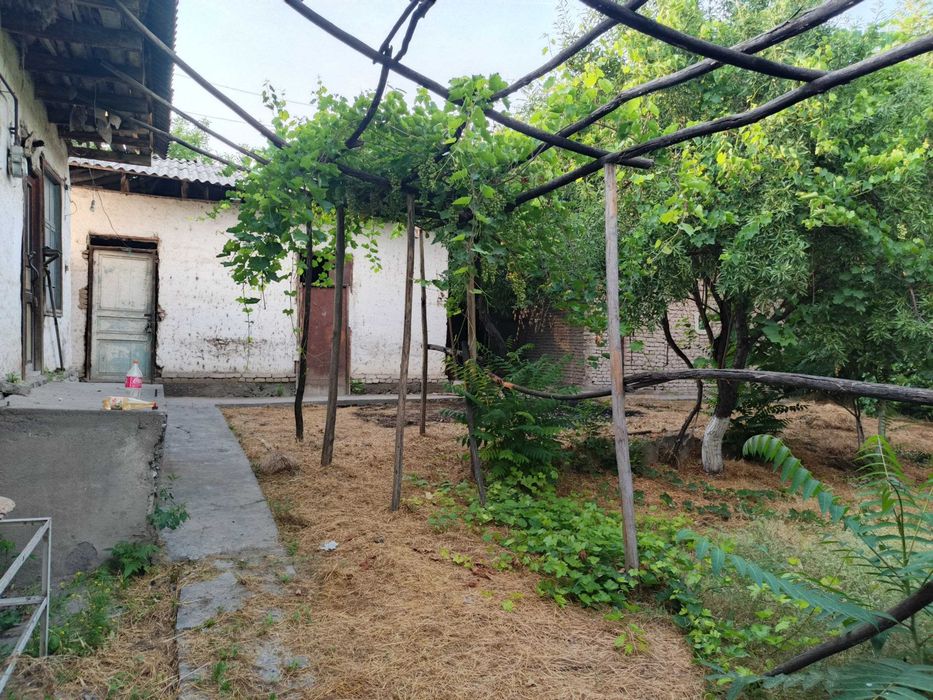 Yer sotiladi! 9 sotix Oltinkol tuman Saroy MFY