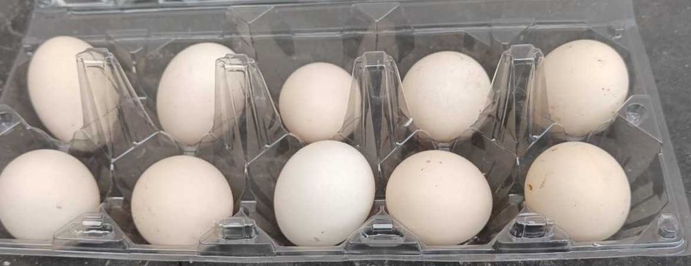 Яйца от Сребърен зибрайт