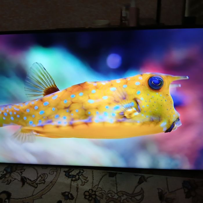 Samsung  smart televizor sotiladi 55 dioganal