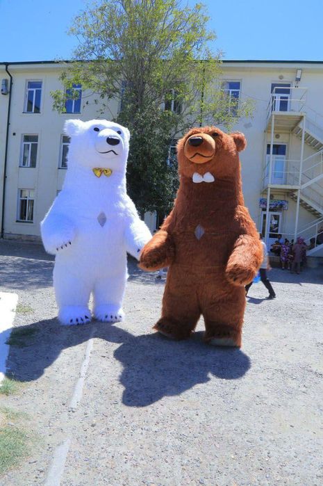 Ayiqlar sotiladi ayiq sotiladi