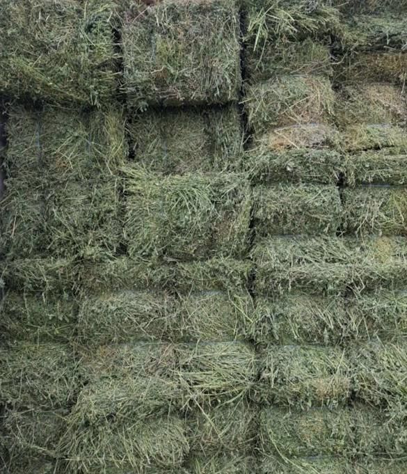 Baloti amestec furaje si lucerna