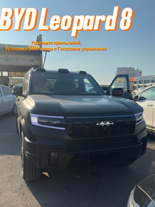 Мастер Русификация BYD LEOPARD