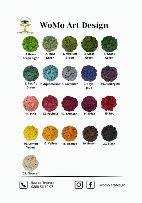 Тотална разпродажба Скандинавски мъх - първо качество