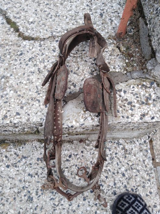 Юлар и Гем за магаре два броя. По 15 лв за брой