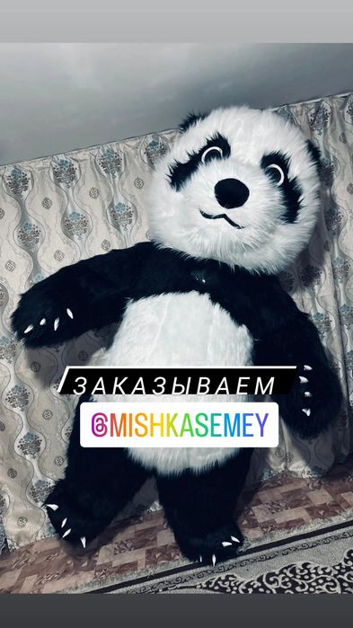 Поздравление Белого Мишки