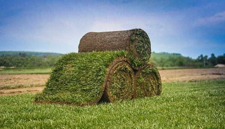 Montaj Gazon Rulou pe Suprafețe Mici și Mari + Transport