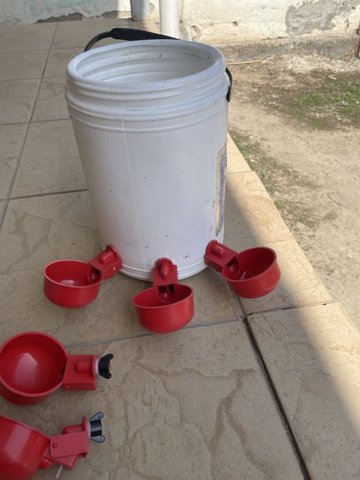 Поилка для кур и цыплят