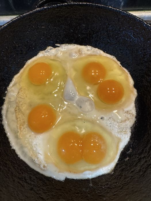 Продам домашние яйца
