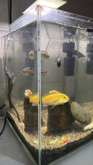 Продам аквариум