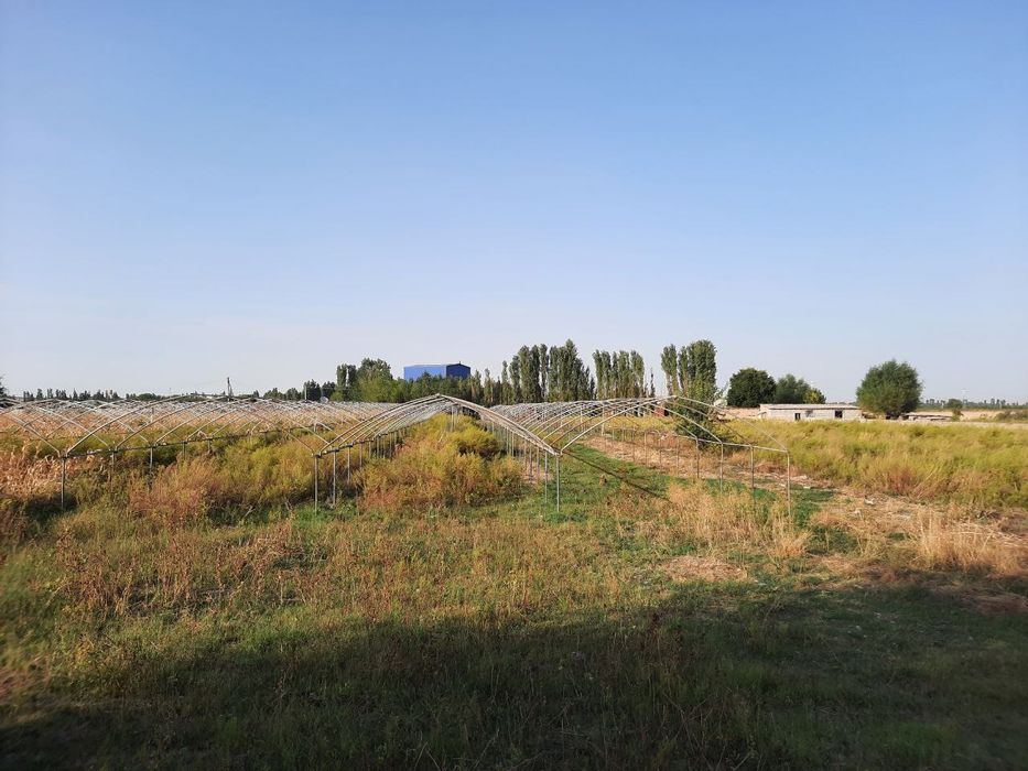 Yuqori chirchiq tumanida 200 sotok yer sotiladi