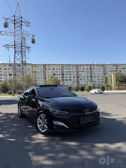 2023 yil Xl kraskasi tozza 100%