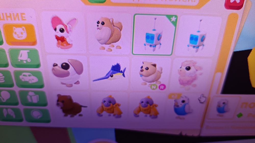 Адопт ми продажа петов