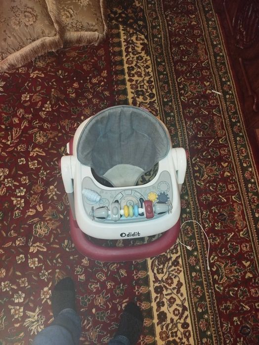 Ходунок холати зу́р