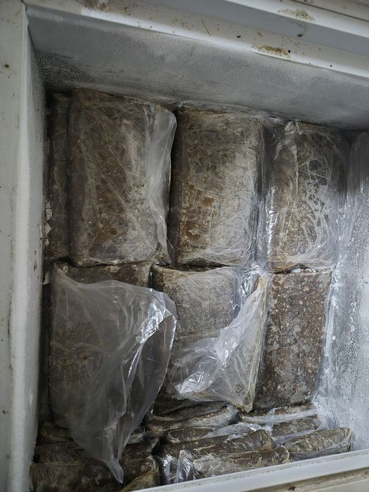 Фарш рыбный из карася