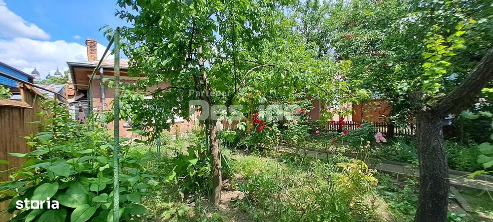 IASI, Zona Centrala - Proprietate cu potential COMERCIAL si INVESTITIO