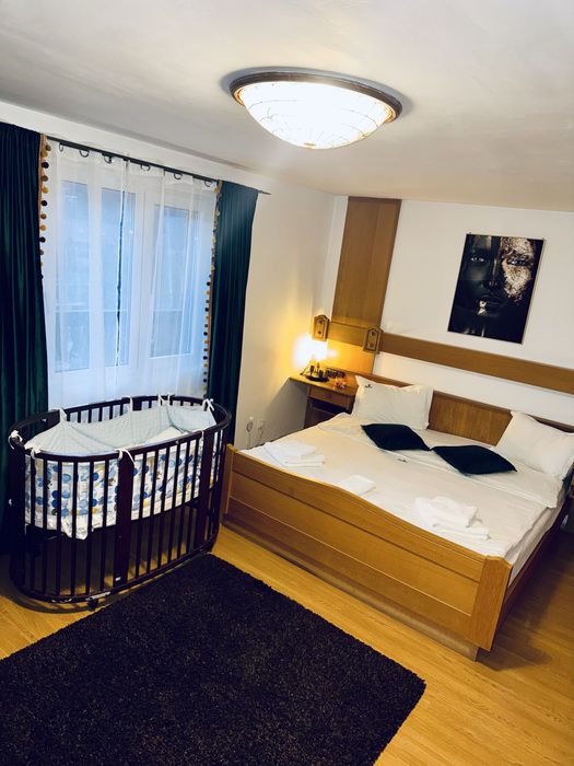 Vila de inchiriat in regim  de pesiune, pe termen lung, minim 2 ani!