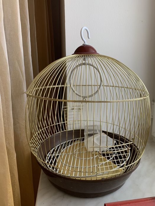 Клетка попугая.