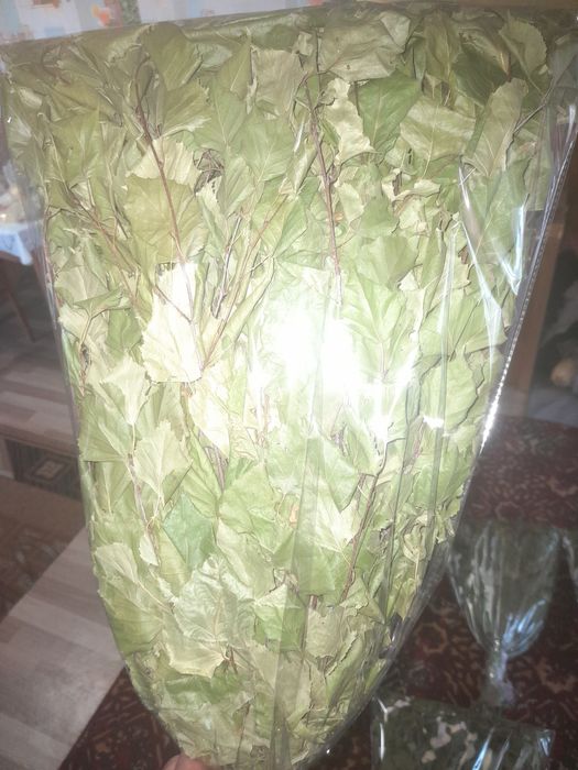 Продам безовые веники 1200