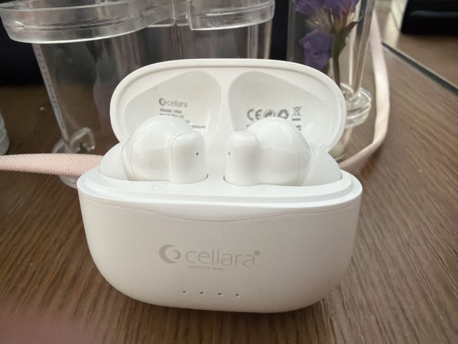 Casti cellara vibe