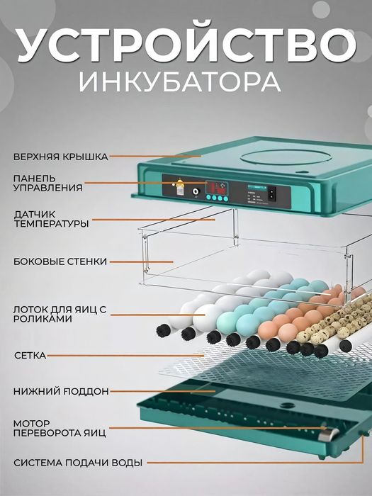 Inkubator 70talik avto aylantirish. Yetkazib berish bepul