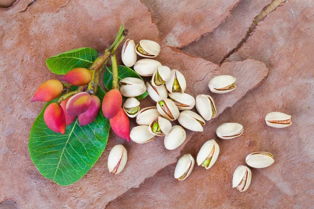 Pomi Exotici (Soiuri De Fistic )