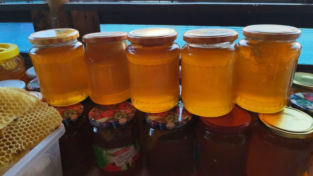 Vând miere de salcâm, tei, rapiță și floarea soarelui!