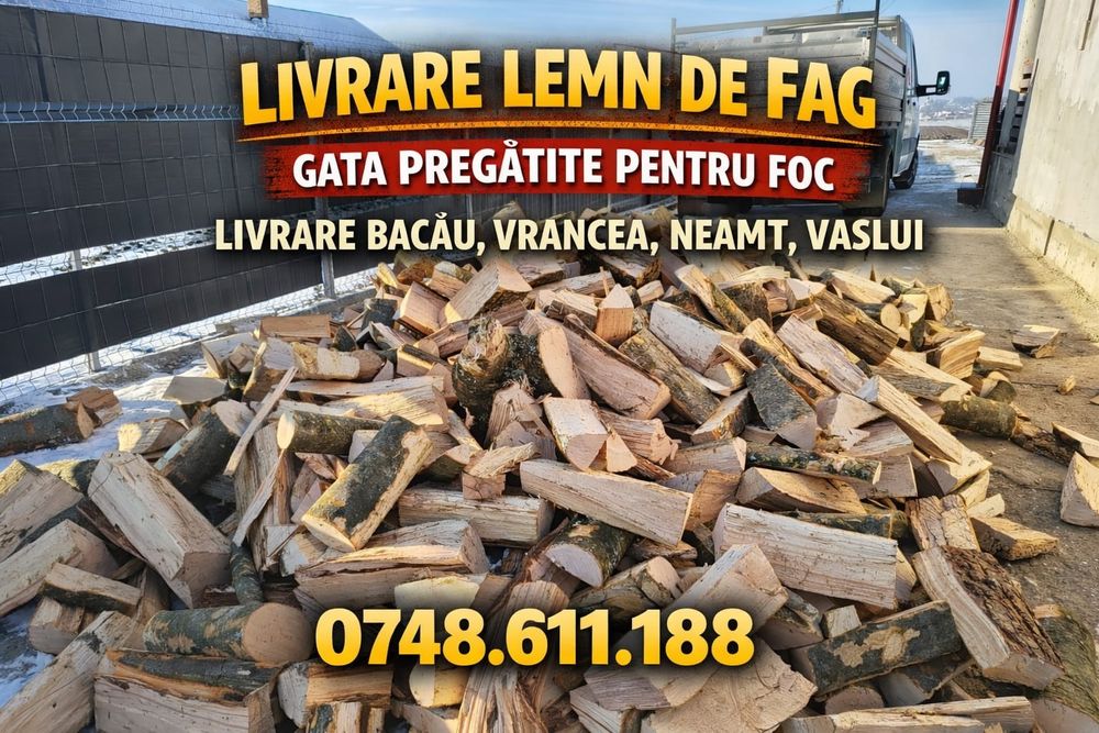 Lemne de foc Fag