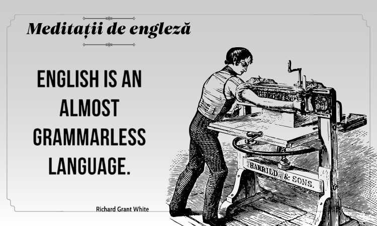 Cursuri particulare de Limba Engleză