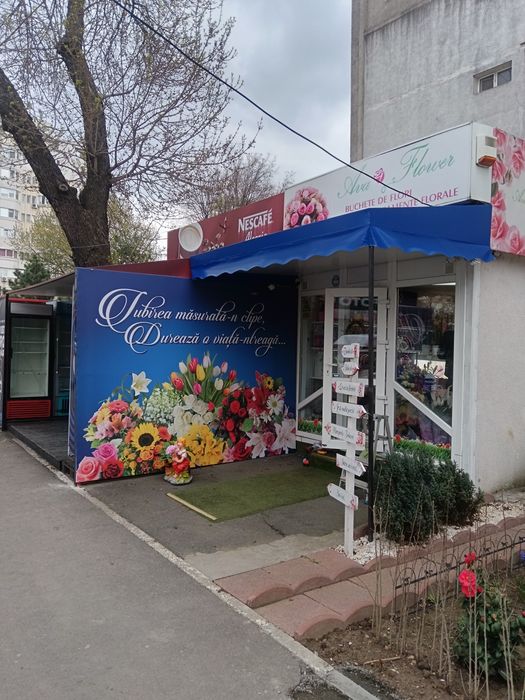 Prelate, copertine, inchideri foișoare și terase, autocolante