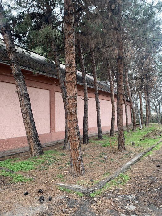 Дархан Участок 12-Соток дом 2х-этажный.