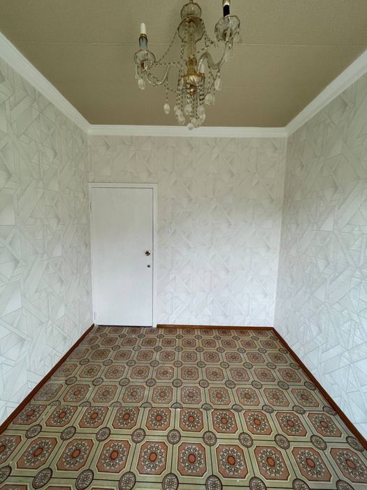 Qora qamish 2/4  da 3/3/5